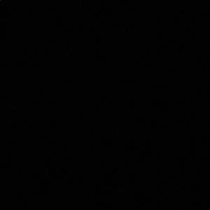 Meet your Posher, Lorenzo